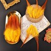 Feathers for Crafting,240pcs 5-7inch Golden Yellow Craft Rooster Feathers,Saddle Hackle