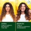 HERBAL ESSENCES Bio:Renew, Mascarilla Nutrición Intensiva para cabello seco y