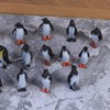 Kisangel 16pcs Penguin Figurine Realistic Ocean Animal Model Polar Arctic