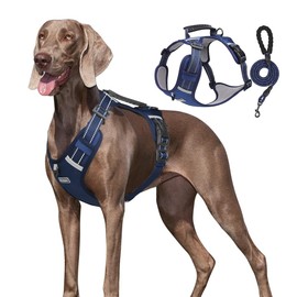 UNA MASCOTA Pechera Arnés De Seguridad para Perro Chico Mediano Y Grande con Correa 1.5m (Azul Oscuro, XS)
