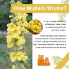 Lukaree 10:1 Mullein Leaf Extract Gummies for Lung Cleanse, Extra