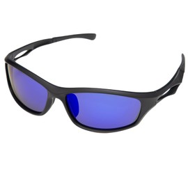 VALERIA Polarised Sports Sunglasses [Wind & Dust Protection] TAC Lenses Hard Case Included TYPE2 (Blue)