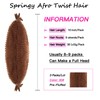 3 Packs Pre-Separated Springy Afro Twist Hair 16 Inch Spring
