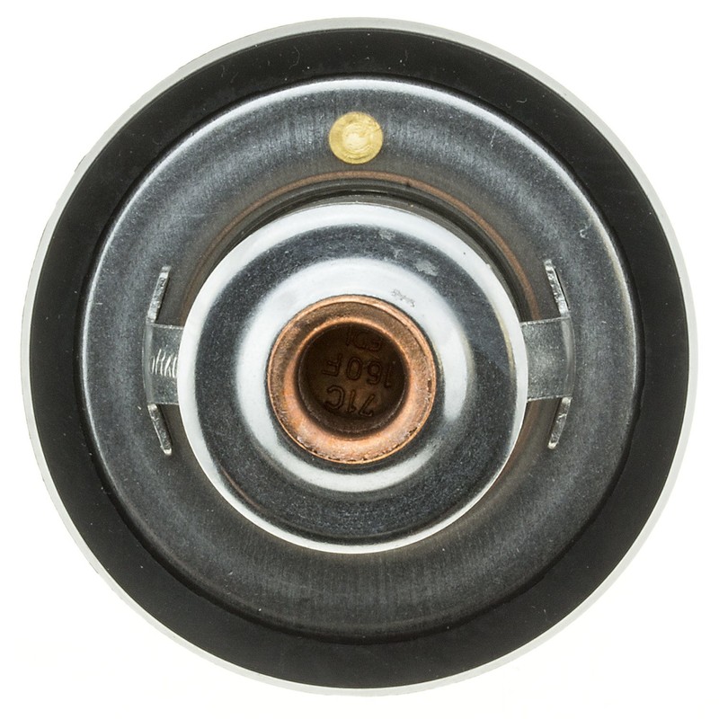 MotoRad 265-160 - Termostato con sello, color plateado