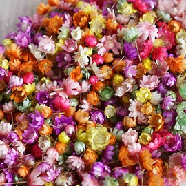 710pcs DIY Dried Flowers Scattered Aromatherapy Candle Epoxy Resin Pendant