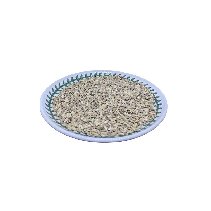 Fennel Seeds - Foeniculum vulgare Loose Fennel Seeds - By