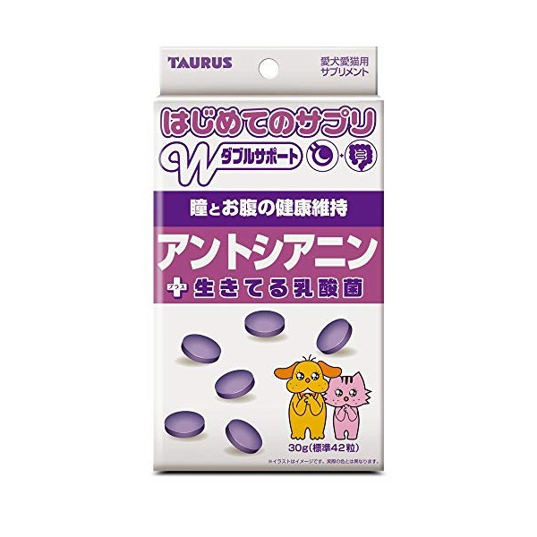 Torus My First Supplement, Anthcianine, 1.1 oz (30 g) (x6)