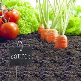 20 Pcs 20cm Stainless Steel Plant Label Hooks Garden Markers Stake Plant Label Holder Hanger Garden Plant Sign Stake Rustproof Deformed Garden Plant Sign Hanging Rods for Flower Planter, Plant Labels