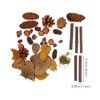 Holibanna 1 Pack Christmas Craft Small Pine Cones Rustic Mini