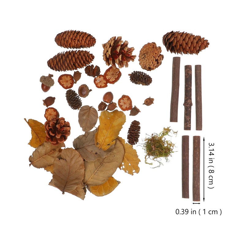 Holibanna 1 Pack Christmas Craft Small Pine Cones Rustic Mini