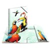 HERMA Portfolio Folder A4 Parrot, Children's Corner Folder Made of