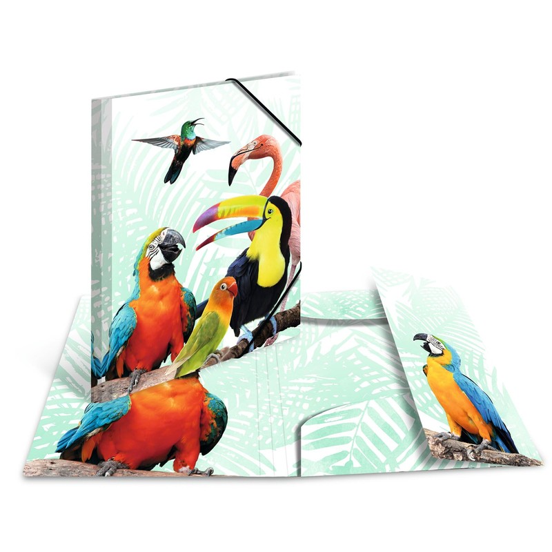 HERMA Portfolio Folder A4 Parrot, Children's Corner Folder Made of