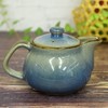 Stylish Kutani Ware Teapot Pot, Ginsayama Tea Flower Pot, Ceramic,