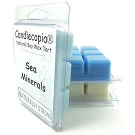 Candlecopia Sea Minerals, Cactus & Sea Salt and Sea Mist Strongly Scented Hand Poured Vegan Wax Melts, 18 Scented Wax Cubes, 9.6 Ounces in 3 x 6-Packs
