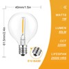 Jslinter 25Pack G40 LED String Light Bulbs Replacement, 1W(11W Equivalent),