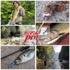 DUEL PE Line 0.2 Armored F+ Pro 150M No. 0.2