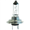 Halogen Bulb