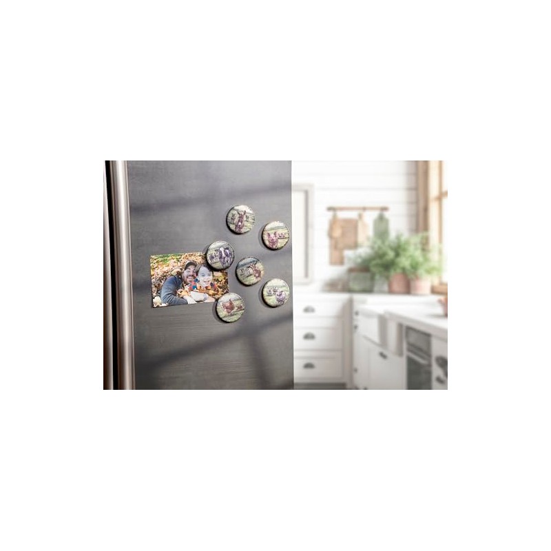 Primitives by Kathy Farm Friends Magnet Set