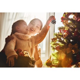 Eradria 24Pcs Natural Pine Cones Christmas Rustic Pinecones Ornament with String for Crafts Home Decor Vase Filler Xmas Party Holiday Christmas Tree Decoration Pinecone Ornaments