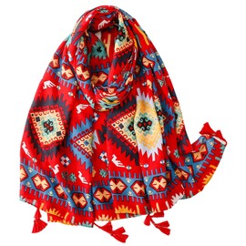 FAIRYGATE Infinity Scarf Women's Large Soft Feel Pashmina Shawls Wraps Light Winter Scarf 65024