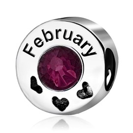 JMQJewelry Purple February Father Daughter Dog Cat Heart Birthstone Birthday Womens Bead Charm for Snake Chain Bracelets Girls Jewelry