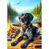 German Shorthair Pointer Black - Best of Breed DCR Summer