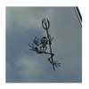 Bone Frog Vinyl Sticker Decal by KLO Graphics Seal Veteran