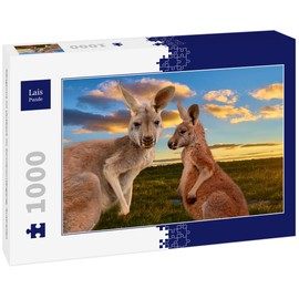 Lais Puzzle Kangaroo in the outback at the sunset, Australia, 1000 pieces