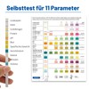 AnCabulous Urine Test Strips 11 Parameter Urine Test Strips Pack