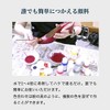 [Black] Color repair material for professional shoe bag leather can