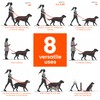HOWGO 8-in-1 Multifunctional Hands Free Dog Training Leash with Padded