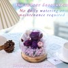 Long-Lasting Real Flowers，Preserved Rose in Glass Dome with Hydrangea and