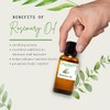 Rosemary Essential Oil – 1/2 fl oz (15 ml) Glass