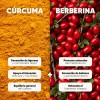 Cápsulas de Cúrcuma y Berberina Homodeus para Bienestar Articular y