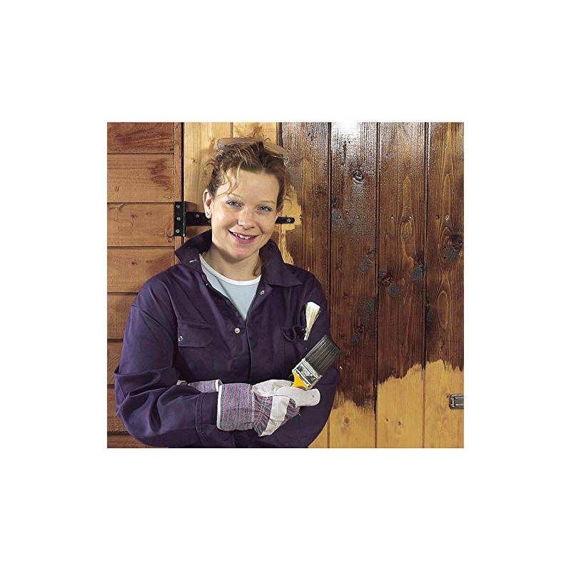 ABUS 08753 Brass Padlock with 601 Alike Keyed