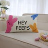 Ogiselestyle Easter Bunny Hey Peeps Throw Pillow Cover, 12 x