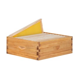 POLLIBEE 10 Frame Medium Super Beehive Box, Langstroth Honey Bee Box Dipped in 100% Beeswax Include Bee Hive Frames and Wax Foundations (unassembled)