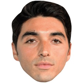 Taylor Zakhar Perez (Black Hair) Celebrity Mask, Flat Card Face, Fancy Dress Mask