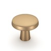 goldenwarm 15 Pack Champagne Bronze Cabinet Knobs Round Kitchen Cabinet