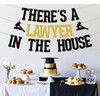 SJcysrilla There's a Lawyer in the House Banner Born to