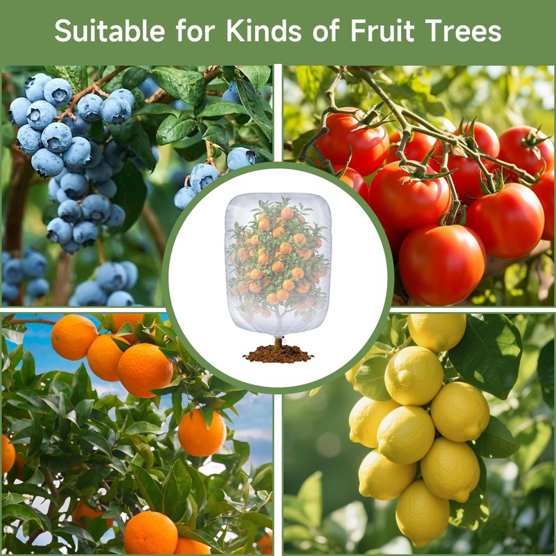 Bird Netting for Blueberry Bushes, 3 Pack 3.2 X 2.6