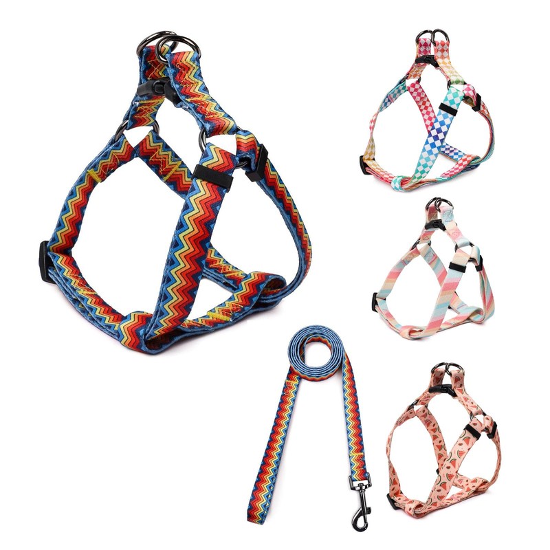 COSYHOMELONDON Dog Harness Leash Set, Breathable,Adjustable,Dog Lead and Harness No
