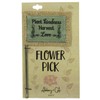 Cathedral Art Abbey & CA Gift Plant Kindness Flag Flower