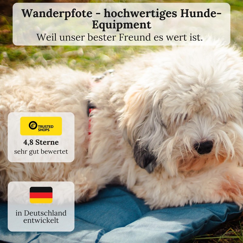 Wanderpfote Dog Blanket for Travel, 75 x 50 cm, Washable,