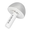 Bluetooth Wireless Karaoke Mic Night Light Bluetooth Microphone for Party