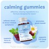 Calming Ashwagandha Gummies for Teens | Stress Relief Supplement with