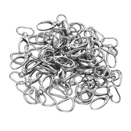 Operitacx Hanging Buckle, Hook Buckle, Luggage Buckle, Key Chain, Accessory Buckle, Lobster Buckle, Zinc Alloy Hardware Accessories, Key Chain Accessories, Lanyard with Twist Locks