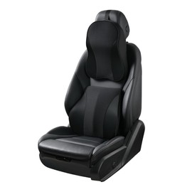 ZLOHPAE Memory Foam car Neck Pillow and Lumbar Support Pillow Set Breathable Removable Cover ergonomically Designed to Ease Neck and Back Pain (Black)