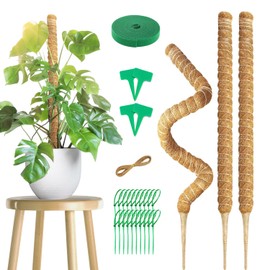 3 Pack 70 cm Moss Stick, Monstera Trellis, Plant Support Flexible, Moss Rod for Monstera with Accessories, Trellis Monstera for Climbing Plants, Can DIY Styling, Trellis Aid Suitable for Potted Spider
