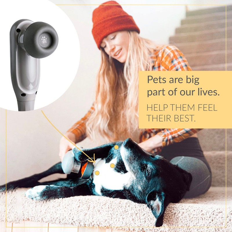 PAW WAVE PERK Percussion Pet Massager for Dogs and Cats